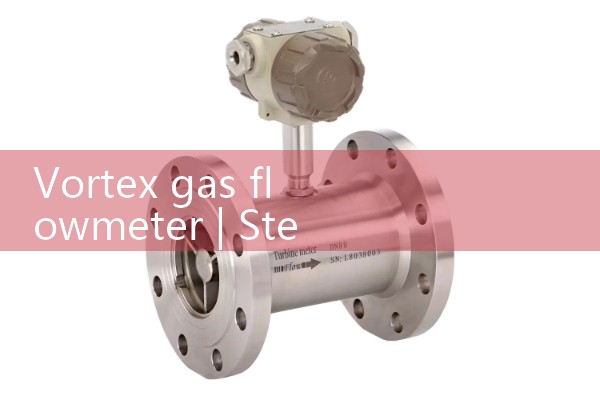 Vortex gas flowmeter