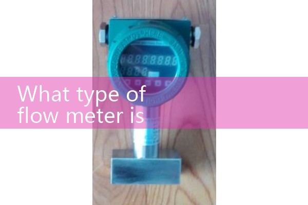 Steam flowmeter