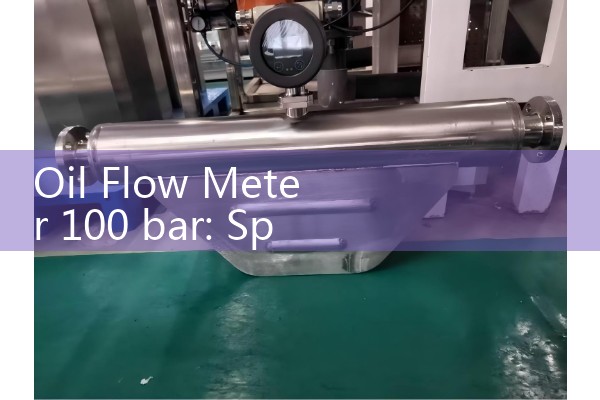 Oil Flow Meter 100 bar: Specialized Equipment Rules for Hydro-Testing Rigs
