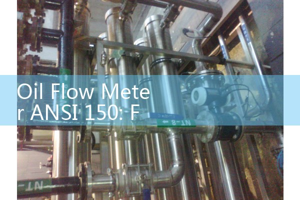 Oil Flow Meter ANSI 150: Flange Standards Compliance for American Process Lines