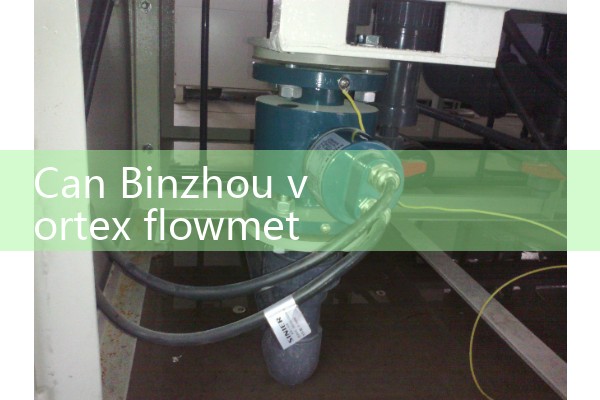 Binzhou Vortex Flow Meter