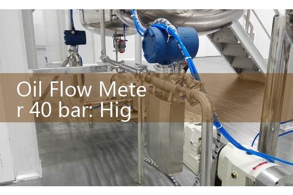 Oil Flow Meter 40 bar: High-Strength Sizing for Chemical Reactor Feeds