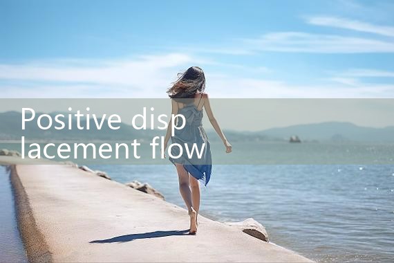 positive displacement flow meter DN50|vortex flow meter