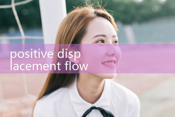 positive displacement flow meter high temperature|vortex flow meter
