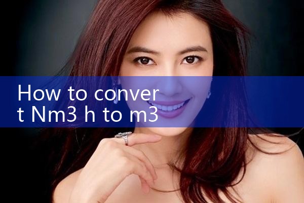 nm3 h to m3 h|coriolis mass flow meter
