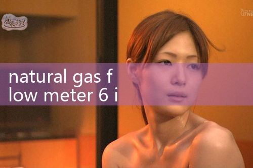 natural gas flow meter 6 inch|arduino flow meter