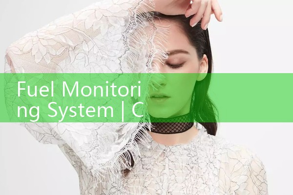 fuel monitoring system|coriolis mass flow meter
