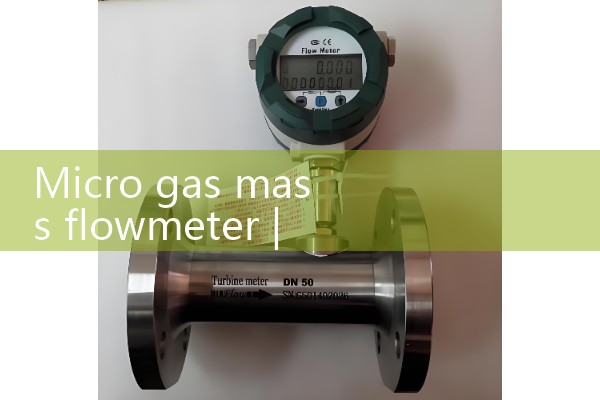 Micro gas mass flowmeter