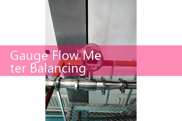 Gauge Flow Meter Balancing: Visual Floating Ball Indicators vs Digital Dial Transmitters for Gas Processing