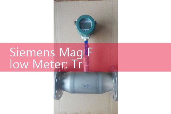 Siemens Mag Flow Meter: Troubleshooting Sitrans Electromagnetic System Errors