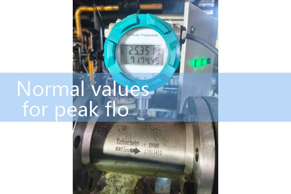 Normal values for peak flow meter: Height and Gender Base Calculations