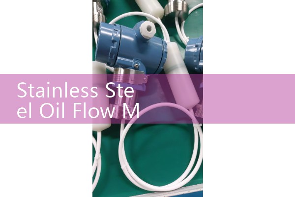 Stainless Steel Oil Flow Meter: Preventing Rust and Contamination in Sanitary Lines