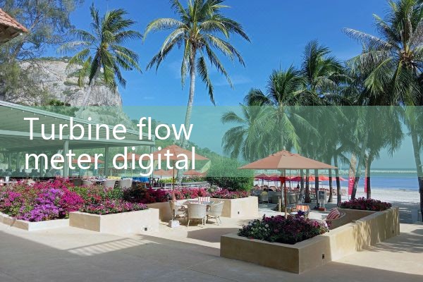 turbine flow meter digital display|vortex flow meter