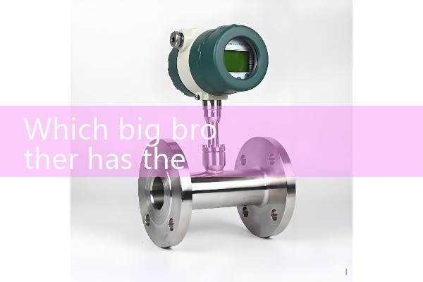 Ningbo professional quality flowmeter manufacturer