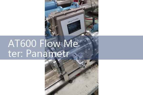 AT600 Flow Meter: Panametrics AquaTrans Transit-Time Pipeline Transducers