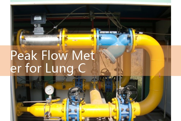 Peak Flow Meter for Lung Capacity: Tracking Volumetric Pulmonary Performance