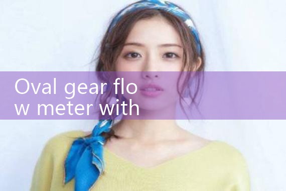 oval gear flow meter with display|vortex flow meter