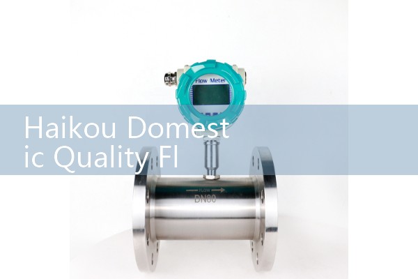 Haikou domestic quality flowmeter manufacturer
