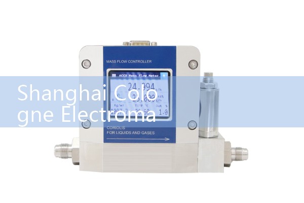 Paddle wheel flowmeter