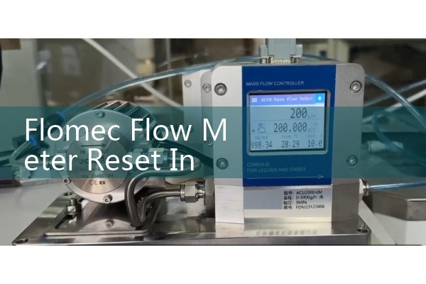 Flomec Flow Meter Reset Instructions: How to Clear Totalizer Values and Alarms