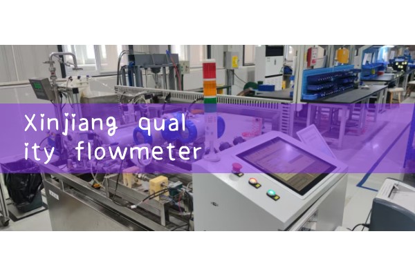Quotation from Xinjiang Quality Flow Meter Manufacturer
