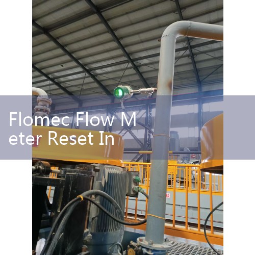 Flomec Flow Meter Reset Instructions: How to Clear Totalizer Values and Alarms